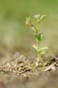BUITEN BEELD Foto: 126791