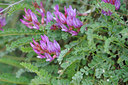 BUITEN BEELD Foto: 126793