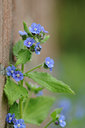 BUITEN BEELD Foto: 126798