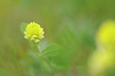 BUITEN BEELD Foto: 126806