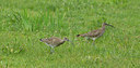 BUITEN BEELD Foto: 126836