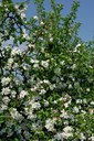 BUITEN BEELD Foto: 126842
