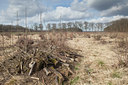 BUITEN BEELD Foto: 126845