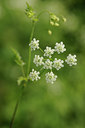 BUITEN BEELD Foto: 126963