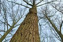 BUITEN BEELD Foto: 126998