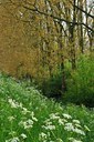 BUITEN BEELD Foto: 127004