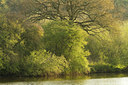 BUITEN BEELD Foto: 127104
