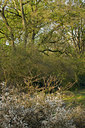 BUITEN BEELD Foto: 127126
