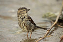 BUITEN BEELD Foto: 127193
