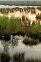 BUITEN BEELD Foto: 127353