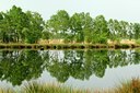 BUITEN BEELD Foto: 127358
