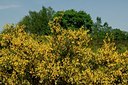 BUITEN BEELD Foto: 127379