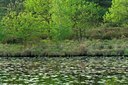 BUITEN BEELD Foto: 127407