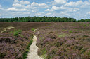 BUITEN BEELD Foto: 127503