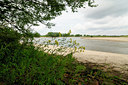 BUITEN BEELD Foto: 127564