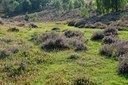 BUITEN BEELD Foto: 127600