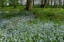 BUITEN BEELD Foto: 127625