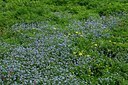 BUITEN BEELD Foto: 127626