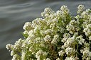 BUITEN BEELD Foto: 127762