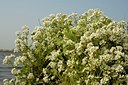 BUITEN BEELD Foto: 127763