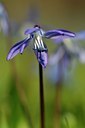BUITEN BEELD Foto: 127777