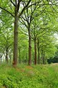 BUITEN BEELD Foto: 127814