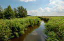 BUITEN BEELD Foto: 127830