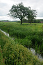 BUITEN BEELD Foto: 127958
