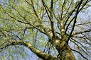 BUITEN BEELD Foto: 128021