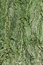 BUITEN BEELD Foto: 128034