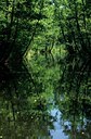 BUITEN BEELD Foto: 128083