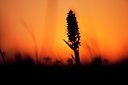 BUITEN BEELD Foto: 128148