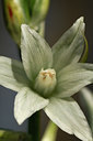 BUITEN BEELD Foto: 128149