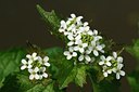BUITEN BEELD Foto: 128186