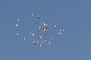 BUITEN BEELD Foto: 128265