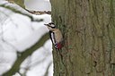 BUITEN BEELD Foto: 128292