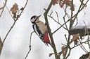BUITEN BEELD Foto: 128310