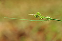 BUITEN BEELD Foto: 128347