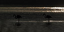 BUITEN BEELD Foto: 128372