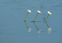BUITEN BEELD Foto: 128401