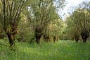 BUITEN BEELD Foto: 128556