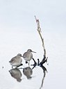 BUITEN BEELD Foto: 128665