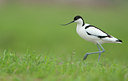 BUITEN BEELD Foto: 128669