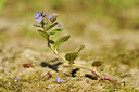 BUITEN BEELD Foto: 128787