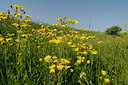 BUITEN BEELD Foto: 128809