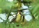 BUITEN BEELD Foto: 128923