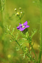 BUITEN BEELD Foto: 128973