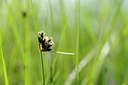 BUITEN BEELD Foto: 128976