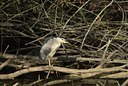 BUITEN BEELD Foto: 12077