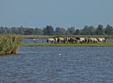 BUITEN BEELD Foto: 12100